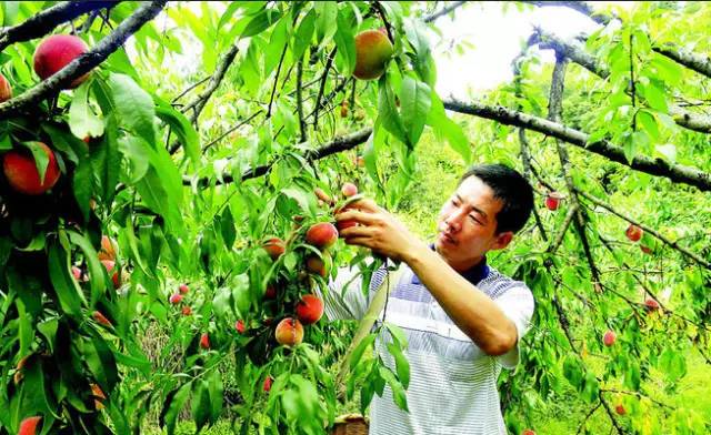 太原去山东自驾游攻略_太原到山东自驾游攻略_太原自驾攻略山东游到北京路线