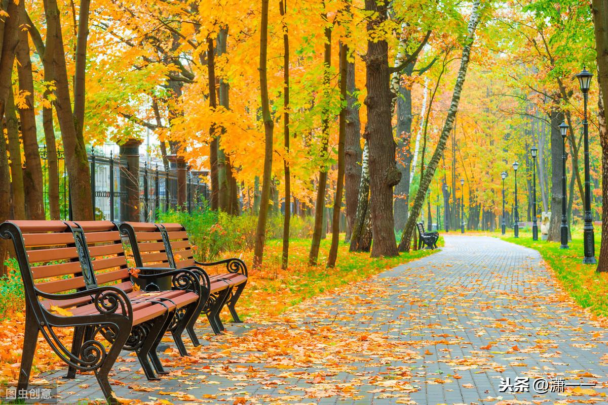 30句关于秋天优美的句子，你快来看一看！
