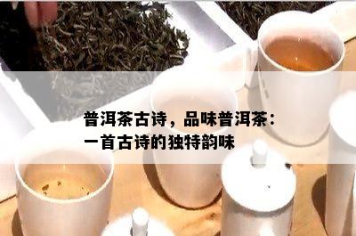 普洱茶古诗，品味普洱茶：一首古诗的独特韵味
